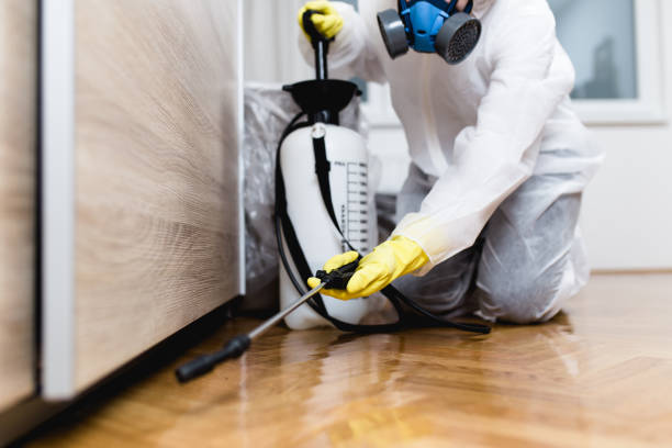 Best Commercial Pest Control Services  in Robert Lee, TX