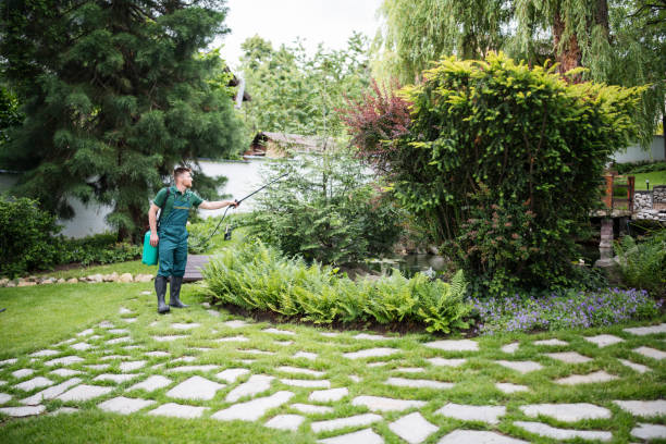 Best Pest Prevention Services  in Robert Lee, TX