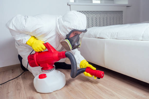 Best Affordable Pest Control Services  in Robert Lee, TX