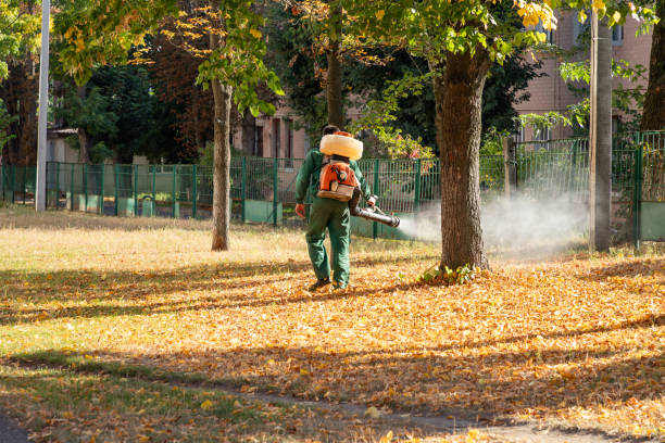 Trusted Robert Lee, TX Pest Control Experts