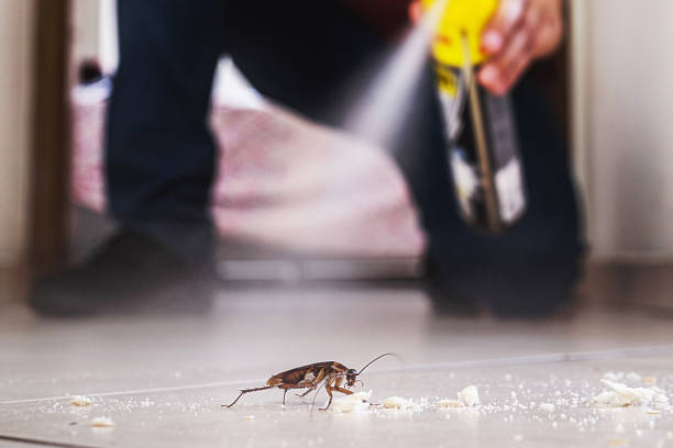Best Wildlife Control Services  in Robert Lee, TX
